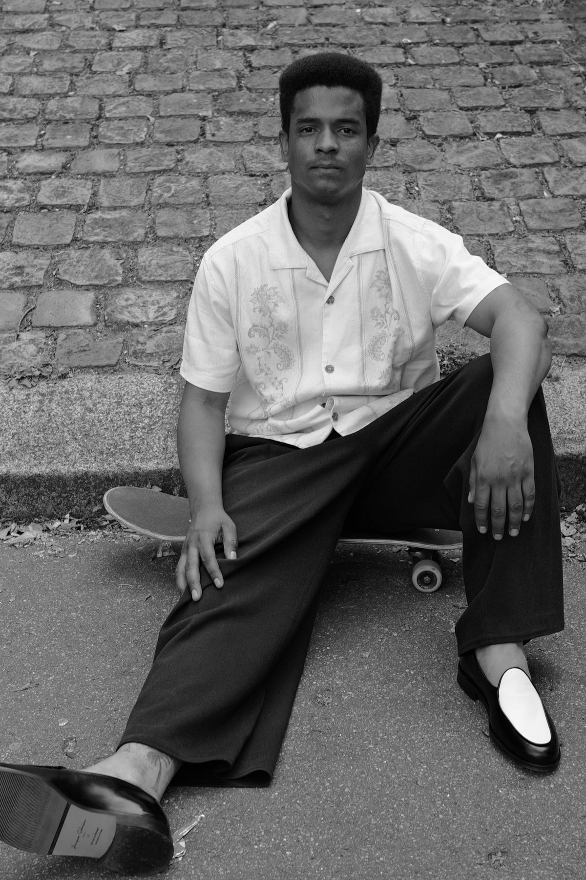 Portrait of Paris - Ludovic Arcens